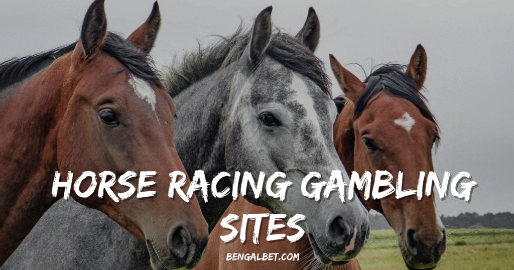 Horse Racing Gambling Sites